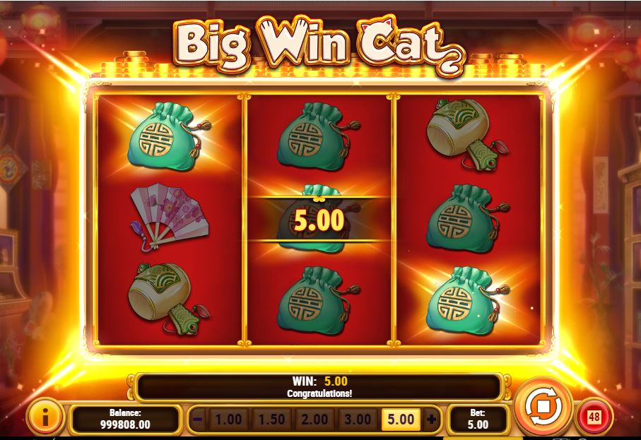 Big Win Cat slot tillbaka
