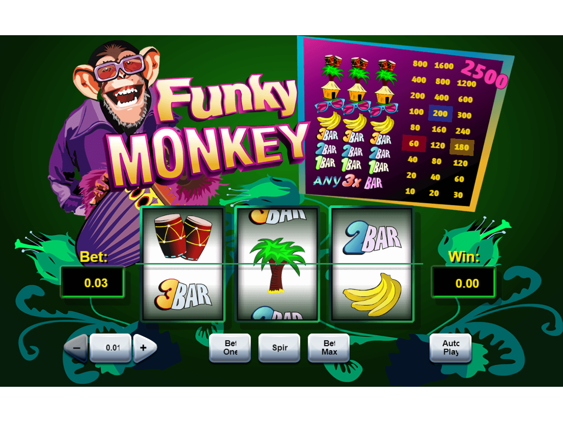 Funky Monkey slot gambler