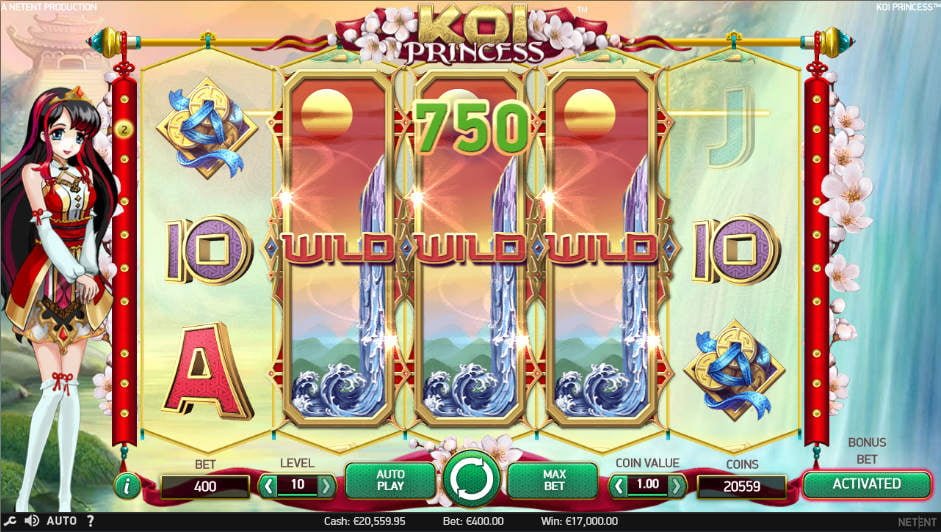Winner ritprogram casino odds 70459